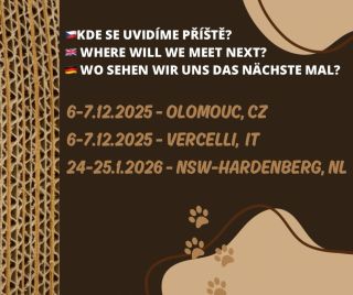 Kde nás můžete potkat příště? ❤️❤️❤️ . . . #catshow #catexhibition #ekomazlicek #ekomazlicekcz #catscratcher catlove...