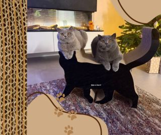 Moc děkujeme za nádherné fotky našich škrabadel, které nám zasíláte. ❤️ . . . #skrabadloprokocky #ekomazlicek...