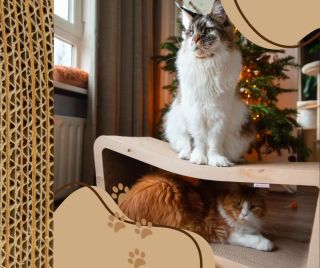 Přejeme Vám krásné Vánoce prožité s těmi nejbližšími a šťastný vstup do Nového roku! Zároveň moc děkujeme za obrovskou...